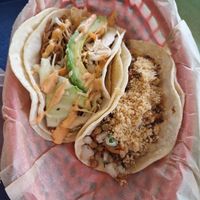  at Taco Party in Somerville