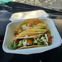  at Taco Party in Somerville