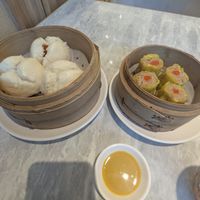Cha siu bao and shumai at Yang Shin 養心茶樓 in Taipei
