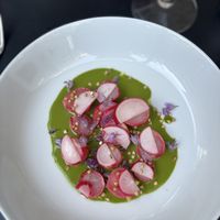   at WILLICHS in Mainz