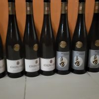 Wine tasting in the cellar at WILLICHS in Mainz