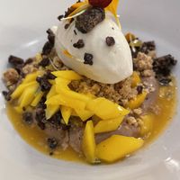   at WILLICHS in Mainz