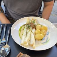   at WILLICHS in Mainz