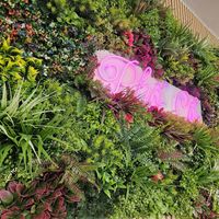  at Pho Co Vietnamese Kitchen in Neuss