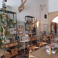 Comfy at Luna Cafe Art Shop in Nicosia