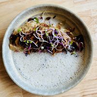   at Nevel in S-hertogenbosch