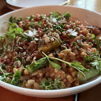 Vegan spring Farrotto! Yummy farro made in a risotto style.  at Lilith in Pittsburgh