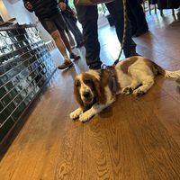   at Oat and Bean in Cardiff