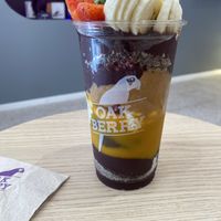 The oak  at Oakberry - Marbeuf in Paris