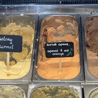 aperol sorbet  at Lodziarnia Saint Malo in Krakow