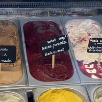 black currant sorbett  at Lodziarnia Saint Malo in Krakow