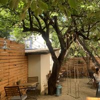   at Soul Kitchen in Sofia