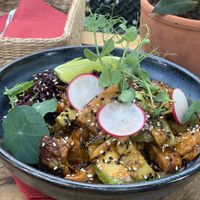   at Soul Kitchen in Sofia