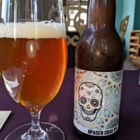 vegan beer at Soul Kitchen in Sofia