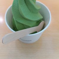 Matcha vegan ice cream at HND - Chaya Vegan Friendly Tokyo - T3 in Ota