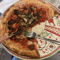   at Maccione in Tongeren