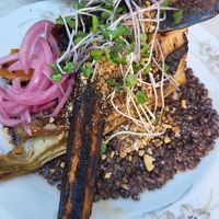 Kind of macrobiotic dish at Fir in Malmo