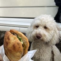 Mushroom-onion-wild garlic (€7,50)🧄  at Pain du Jardin  in Utrecht