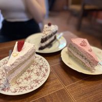   at V-Cake Cafe in Dresden