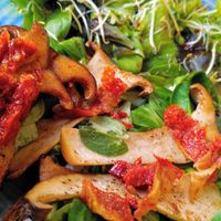  at V-Cake Cafe in Dresden