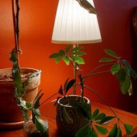 Gemütliche Ecke at V-Cake Cafe in Dresden