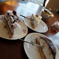  at V-Cake Cafe in Dresden