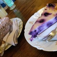  at V-Cake Cafe in Dresden