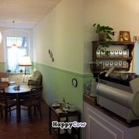 view in the back of v cafe  at V-Cake Cafe in Dresden