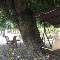 Agriturismo Surì at Agriturismo Suri in Cassine