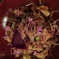  at The Dove in Tortola