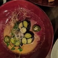  at The Dove in Tortola