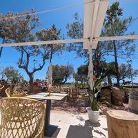 Views at The Coconut Shack in Mallorca