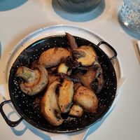  at Rozey in The Hague