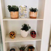   at Segundo Piso in Bogota