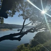 This is a great place to enjoy some drinks and catch up with friends, also at night. Limited vegan options   at The Newport in Newport