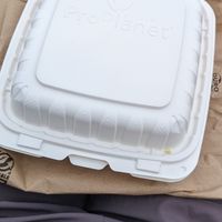 No Styrofoam packaging at Punjabi Junction Of 87th in New York City