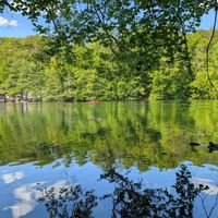 Schmaler Luzinsee (gleich gegenüber des Hotels durch den Wald) at Hotel Hullerbusch in Feldberger Seenlandschaft