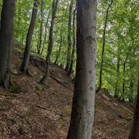  at Hotel Hullerbusch in Feldberger Seenlandschaft