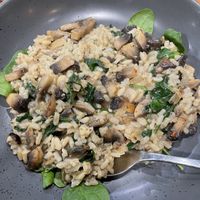 Mushroom risotto - could have had more flavour   at Federal Hotel  in Toowoomba