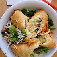 Noodle Salad with 2 Vegan Fried Roll That Were Not Vegan - the rolls were made with eggs at Thuy's Noodle Shop in Bisbee