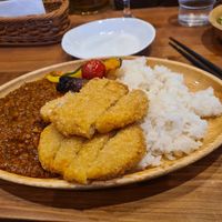 Curry with soy cutlets at Pivot BASE Cafe & Bar ＠Dotonbori in Osaka