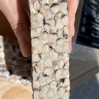 Tempeh by Scoby at Scoby Fermentary - Preorder Only in Yerevan