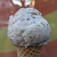 Tahini Chocolate Freckle at Kate's Ice Cream in Portland
