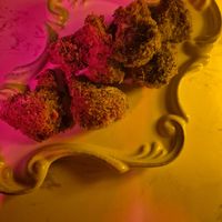  at element in Taipei