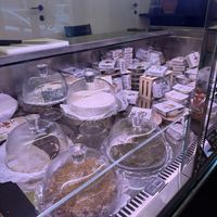 Vegan cheese samples in case  at Fermaggio Bistrot & Store in Rome