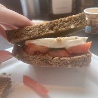 Avocado, mozerella, tomato, pesto sandwich   at Fermaggio Bistrot & Store in Rome