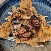 Forest at Cantilly Garden in Samobor