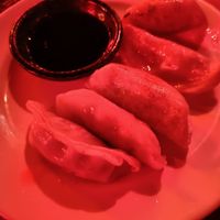 Gyoza at The Fire Bar in Osaka