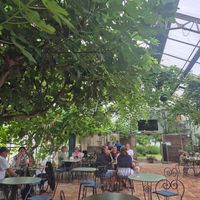  at Backagården Café in Loderup