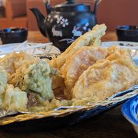 Vegetable tempura  at Passion Fin Asian Bistro & Sushi Bar in Fort Wayne